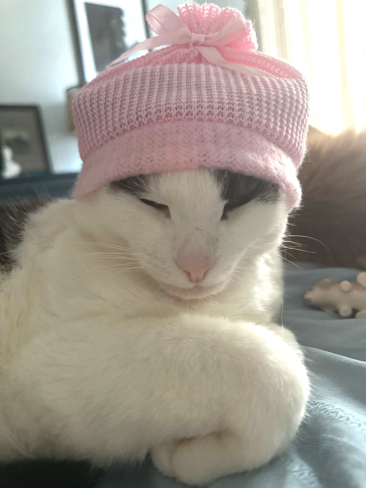 Æîðà